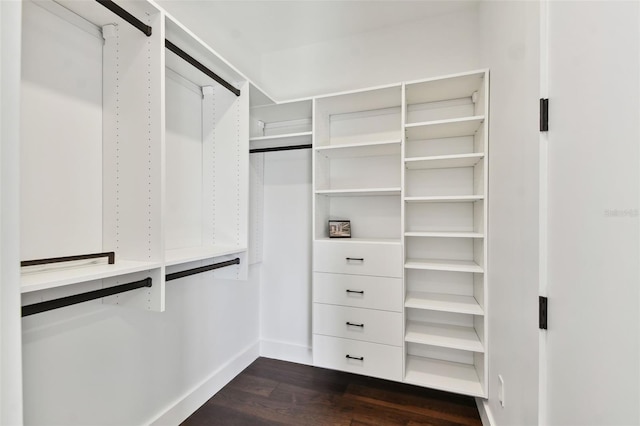 spacious closet with dark wood-type flooring