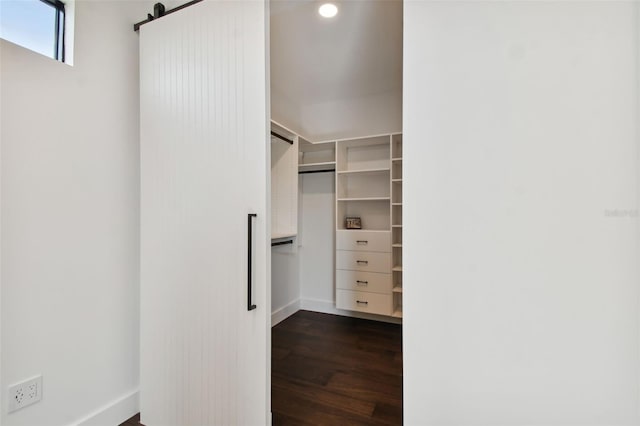 walk in closet featuring dark wood-type flooring and a barn door