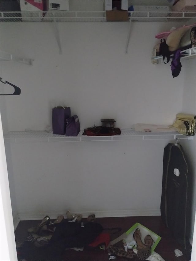 view of walk in closet