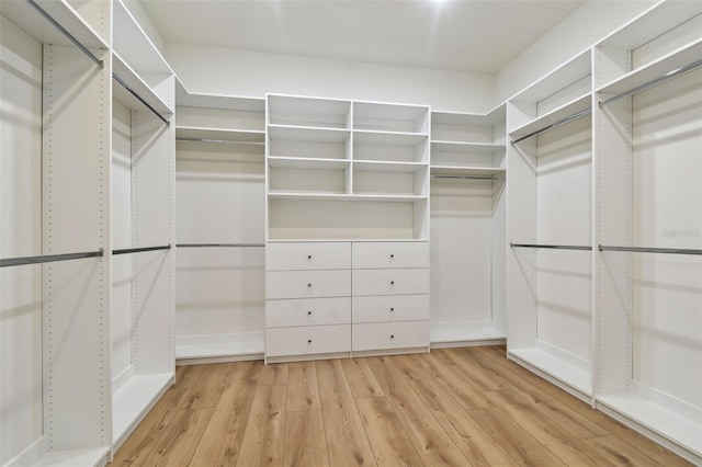 walk in closet featuring light hardwood / wood-style flooring