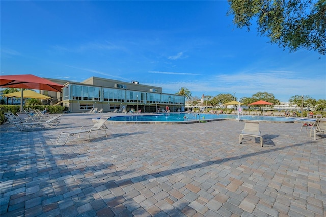 view of swimming pool featuring a patio area