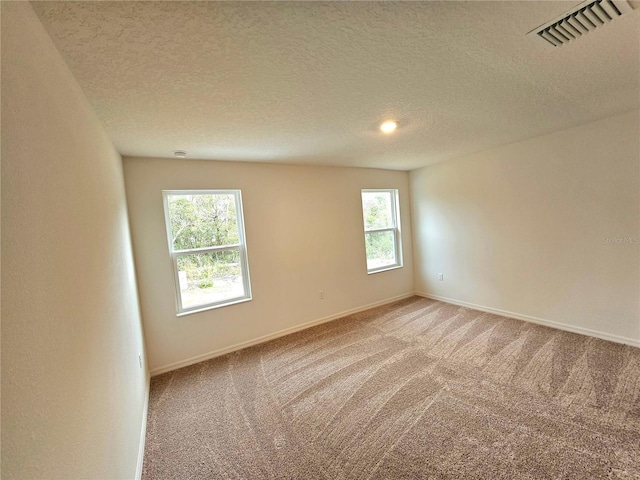 empty room with carpet floors, a textured ceiling, and a wealth of natural light