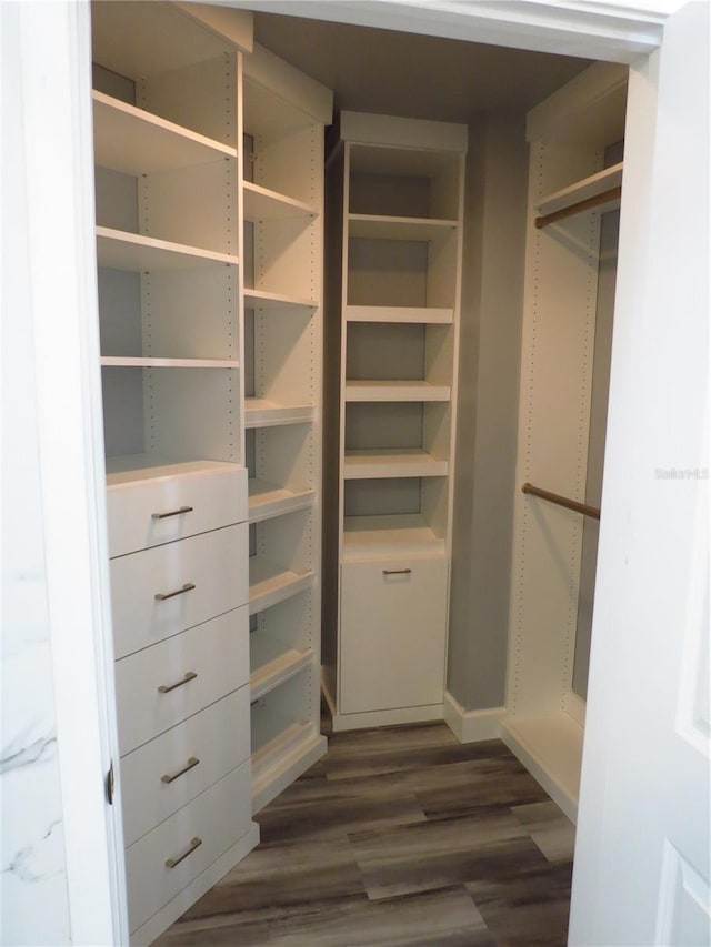 spacious closet with dark hardwood / wood-style flooring