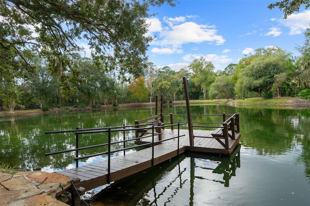 11623 Innfields Dr, Odessa, FL 33556 - photo 84