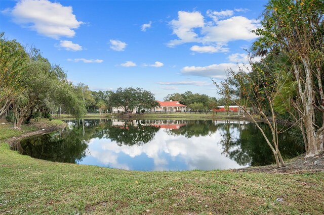 11623 Innfields Dr, Odessa, FL 33556 - photo 85