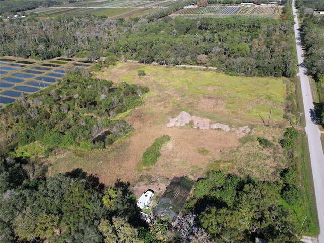 3105 30th St SE, Ruskin, FL 33570 - photo 4
