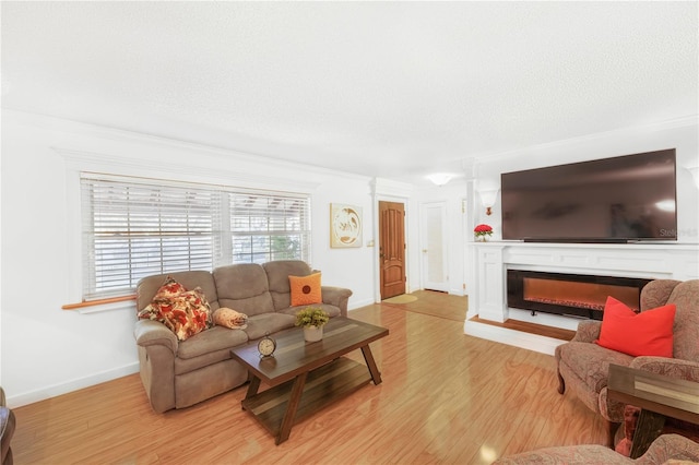 living room with ornamental molding, light hardwood / wood-style flooring, and a textured ceiling