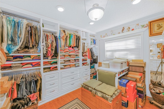 walk in closet with light wood-type flooring