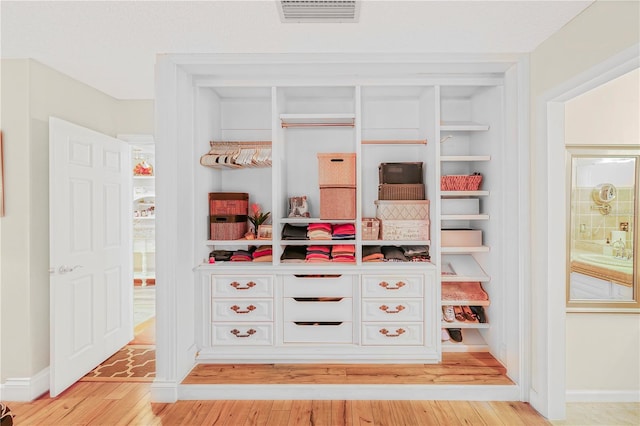 view of closet