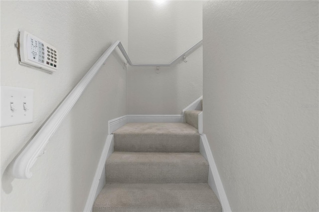 stairs with carpet floors