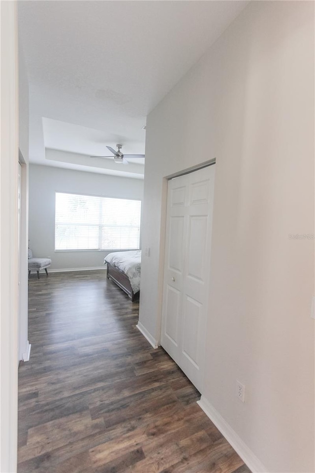 hallway with dark hardwood / wood-style flooring