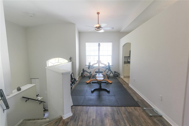 exercise room featuring ceiling fan and dark wood-type flooring