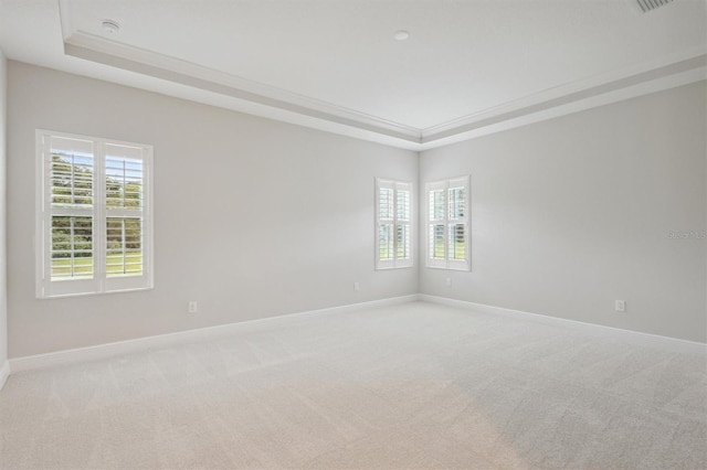 spare room with a tray ceiling and light carpet