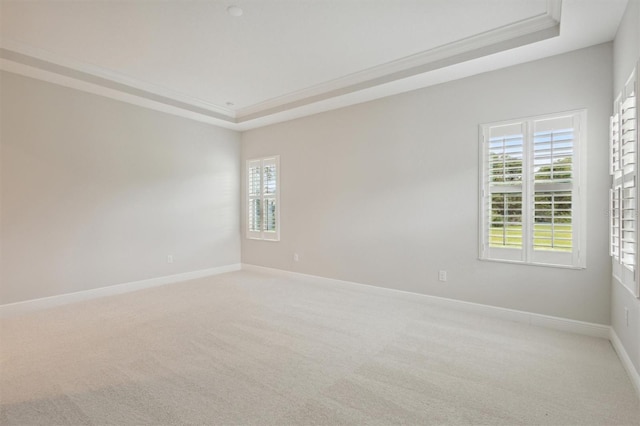 carpeted spare room featuring a tray ceiling and crown molding