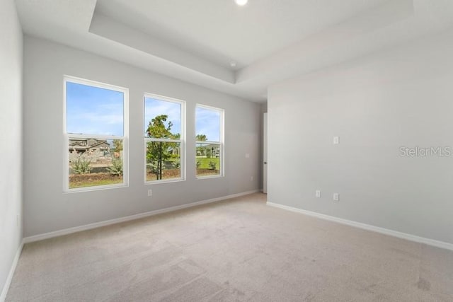 carpeted spare room featuring a tray ceiling