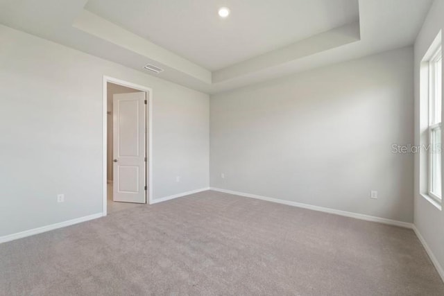 spare room with carpet and a raised ceiling