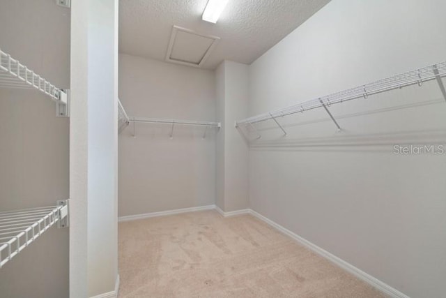 walk in closet with light carpet