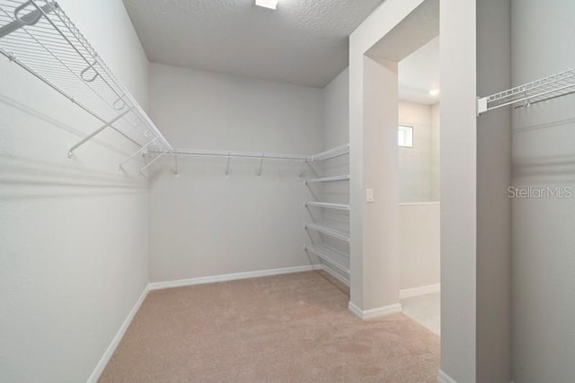 walk in closet with light carpet