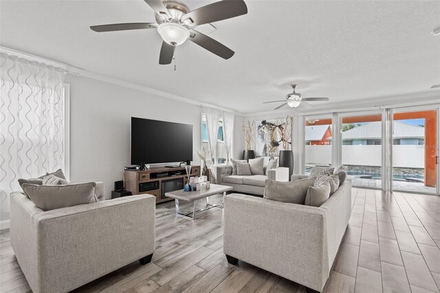 living room with ceiling fan, ornamental molding, a textured ceiling, and light hardwood / wood-style flooring