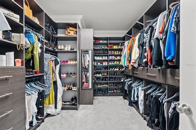 walk in closet with light colored carpet