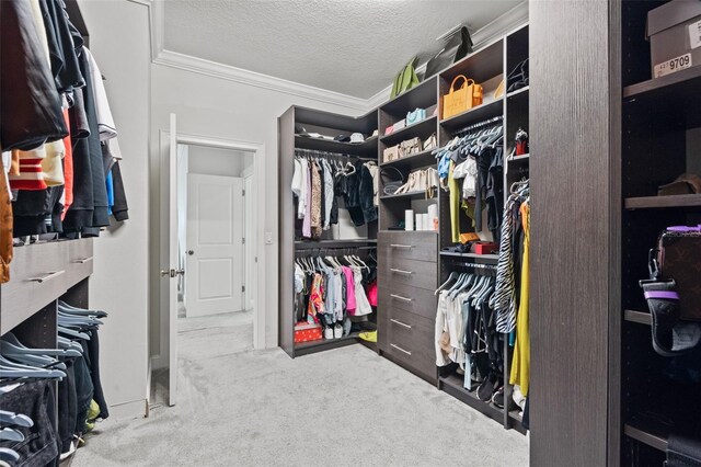 walk in closet featuring carpet