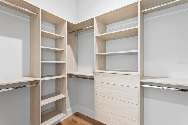 walk in closet with wood-type flooring