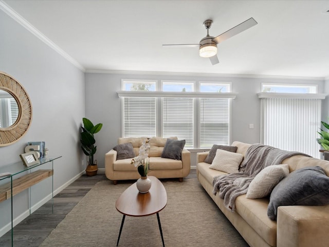 living room featuring ceiling fan, dark wood-type flooring, and ornamental molding