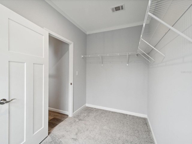 spacious closet with carpet flooring