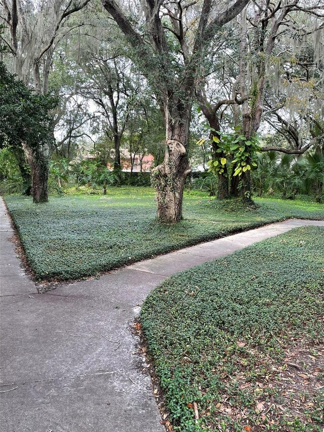 view of community with a lawn