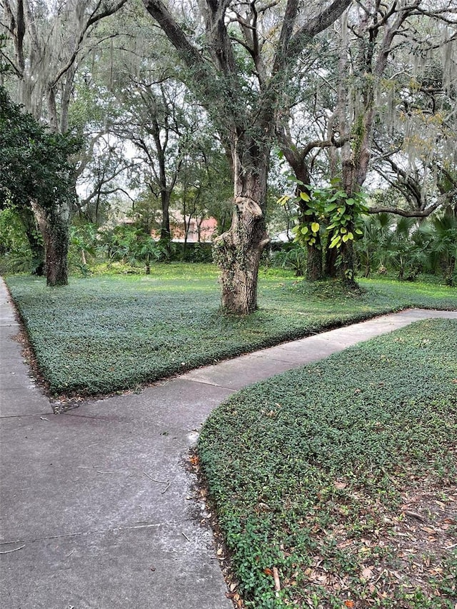 view of home's community with a yard