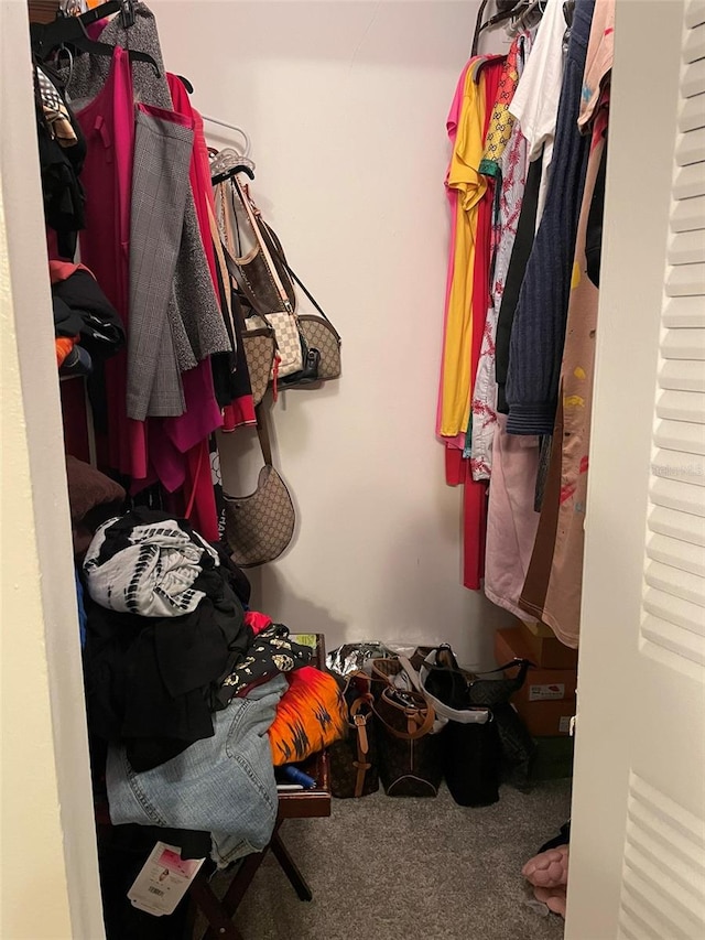 spacious closet featuring carpet floors