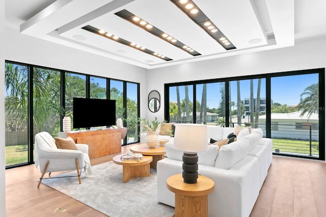 living room with light wood-type flooring