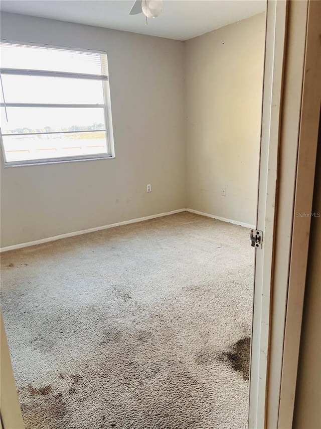 spare room featuring ceiling fan and carpet