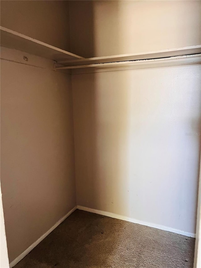 walk in closet featuring carpet