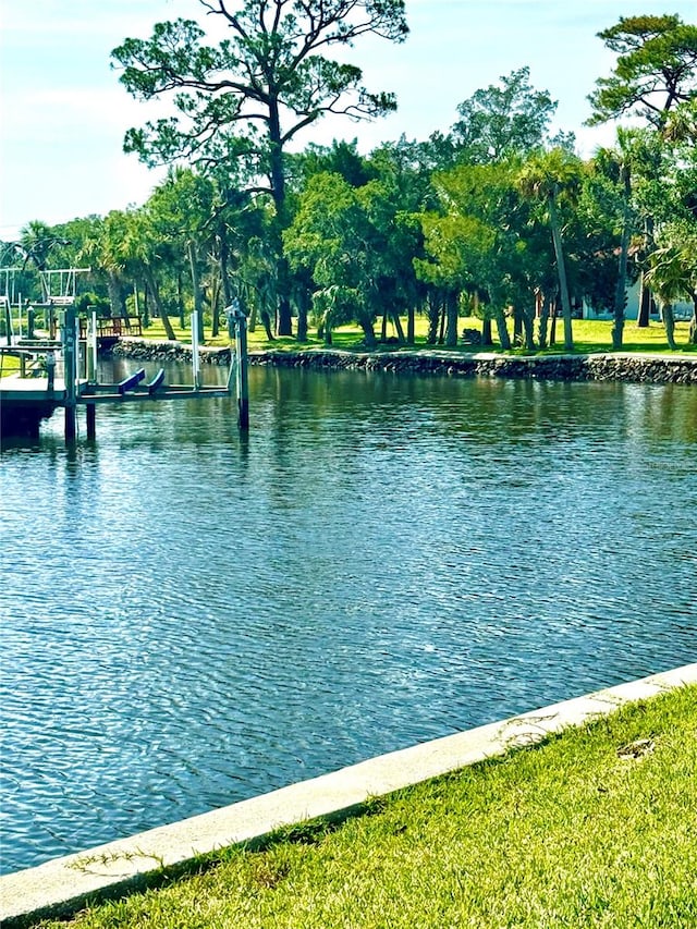 view of water feature featuring a dock