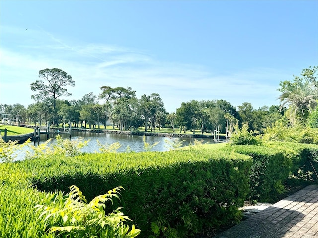 view of property's community featuring a water view