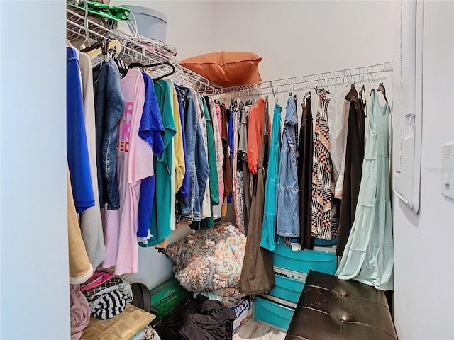 view of spacious closet