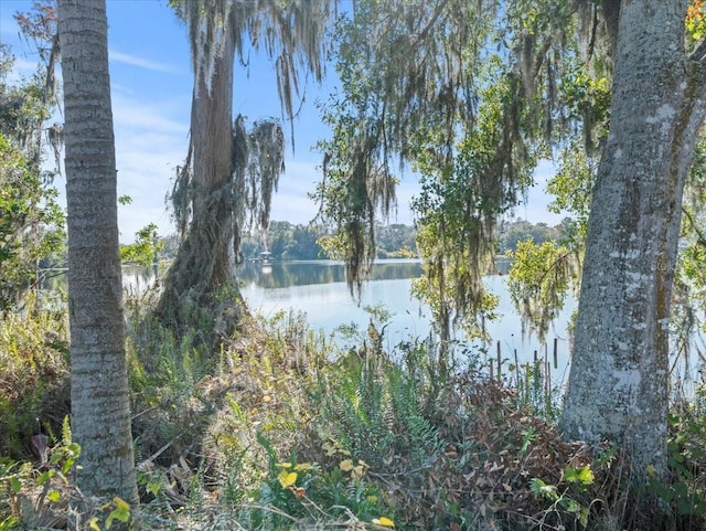 Boy Scout Rd, Odessa, FL 33556