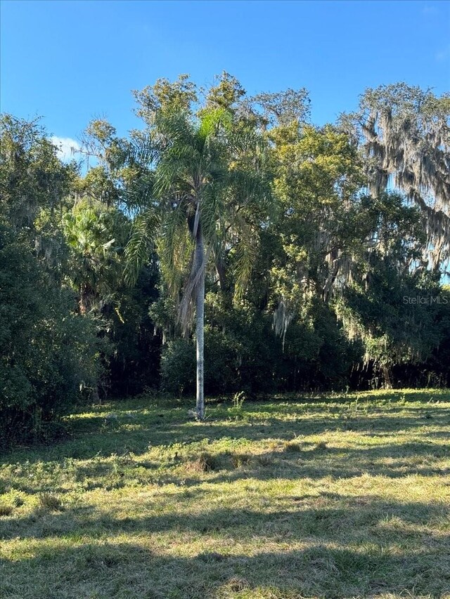 Boy Scout Rd, Odessa, FL 33556