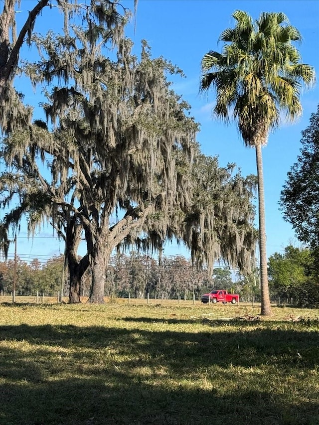 Boy Scout Rd, Odessa, FL 33556