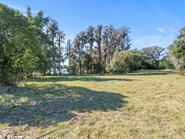 Boy Scout Rd, Odessa, FL 33556