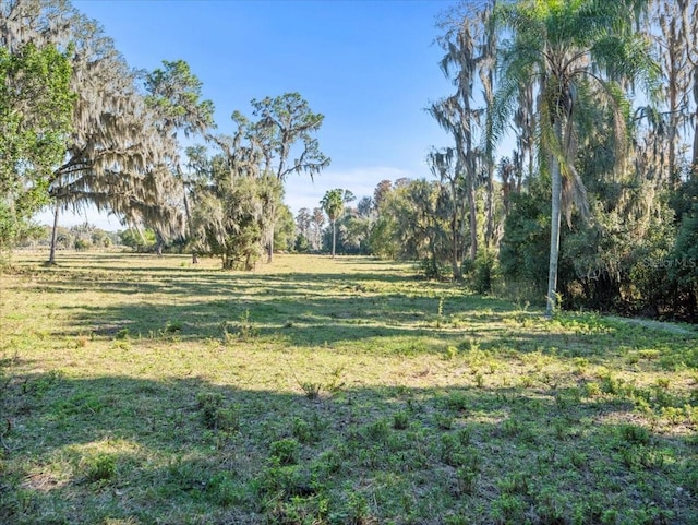 Boy Scout Rd, Odessa, FL 33556