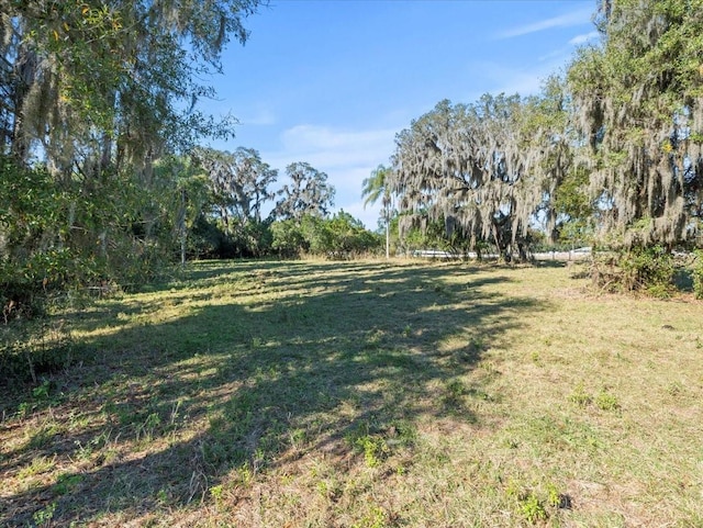 Boy Scout Rd, Odessa, FL 33556