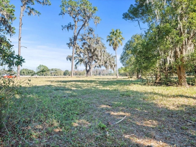Boy Scout Rd, Odessa, FL 33556