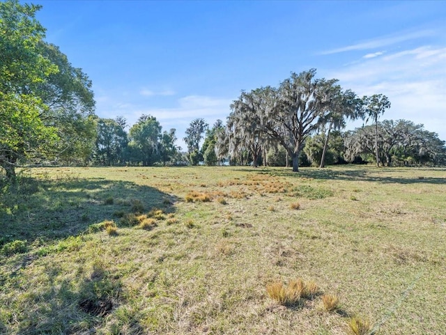 Boy Scout Rd, Odessa, FL 33556