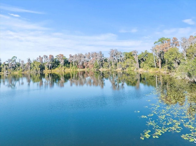 Boy Scout Rd, Odessa, FL 33556