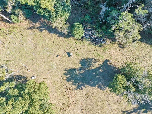 Boy Scout Rd, Odessa, FL 33556