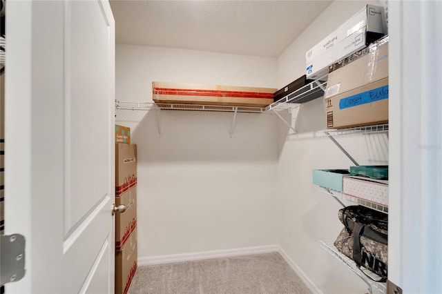 spacious closet featuring carpet