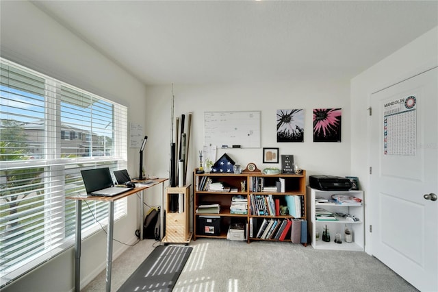 view of carpeted office space