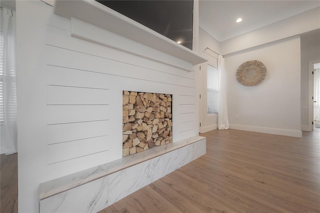 interior space featuring a premium fireplace and hardwood / wood-style flooring